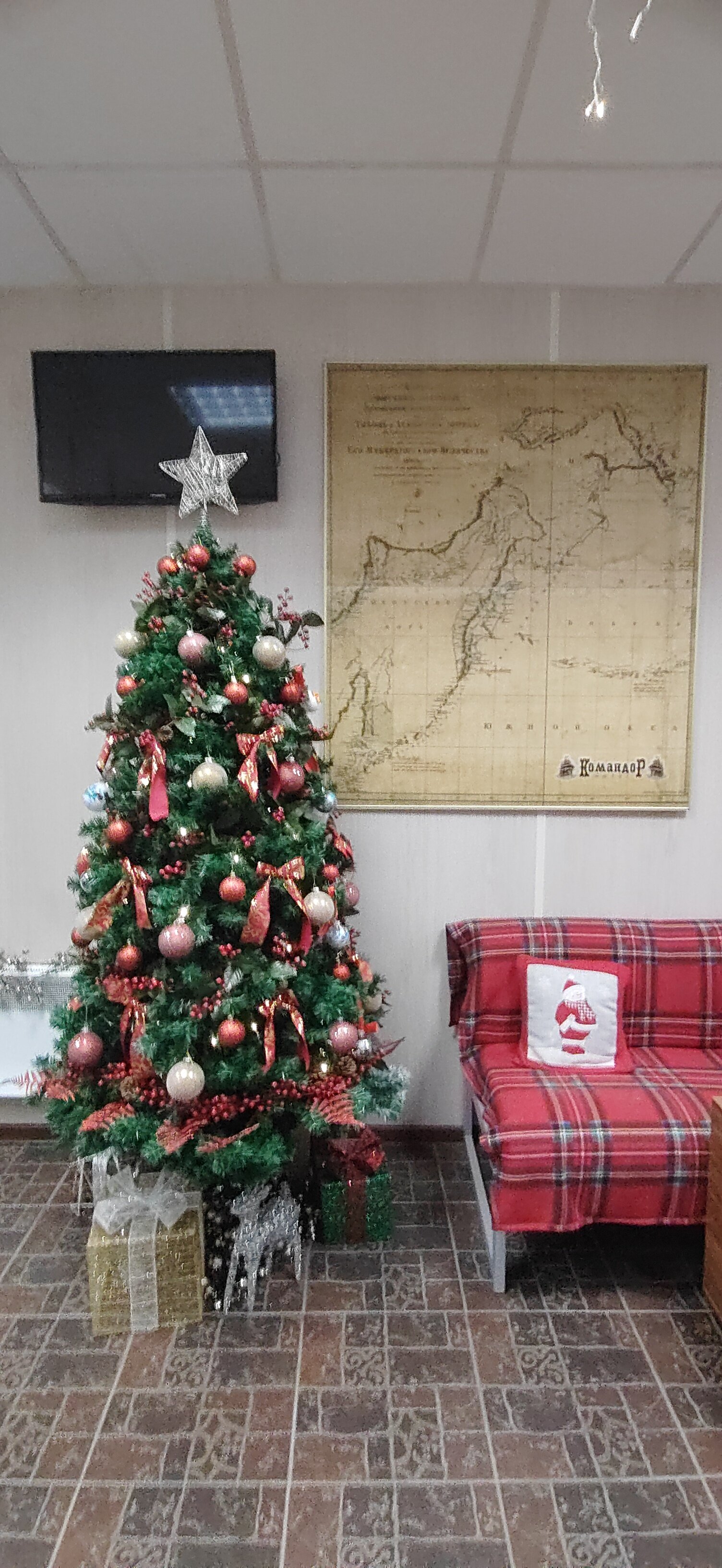 Фото Командор