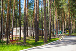 Ozernyi (Ryazan Region, Spasskiy rayon, Paninskoye selskoye poseleniye, derevnya Sumbulovo), campamento de vacaciones para niños