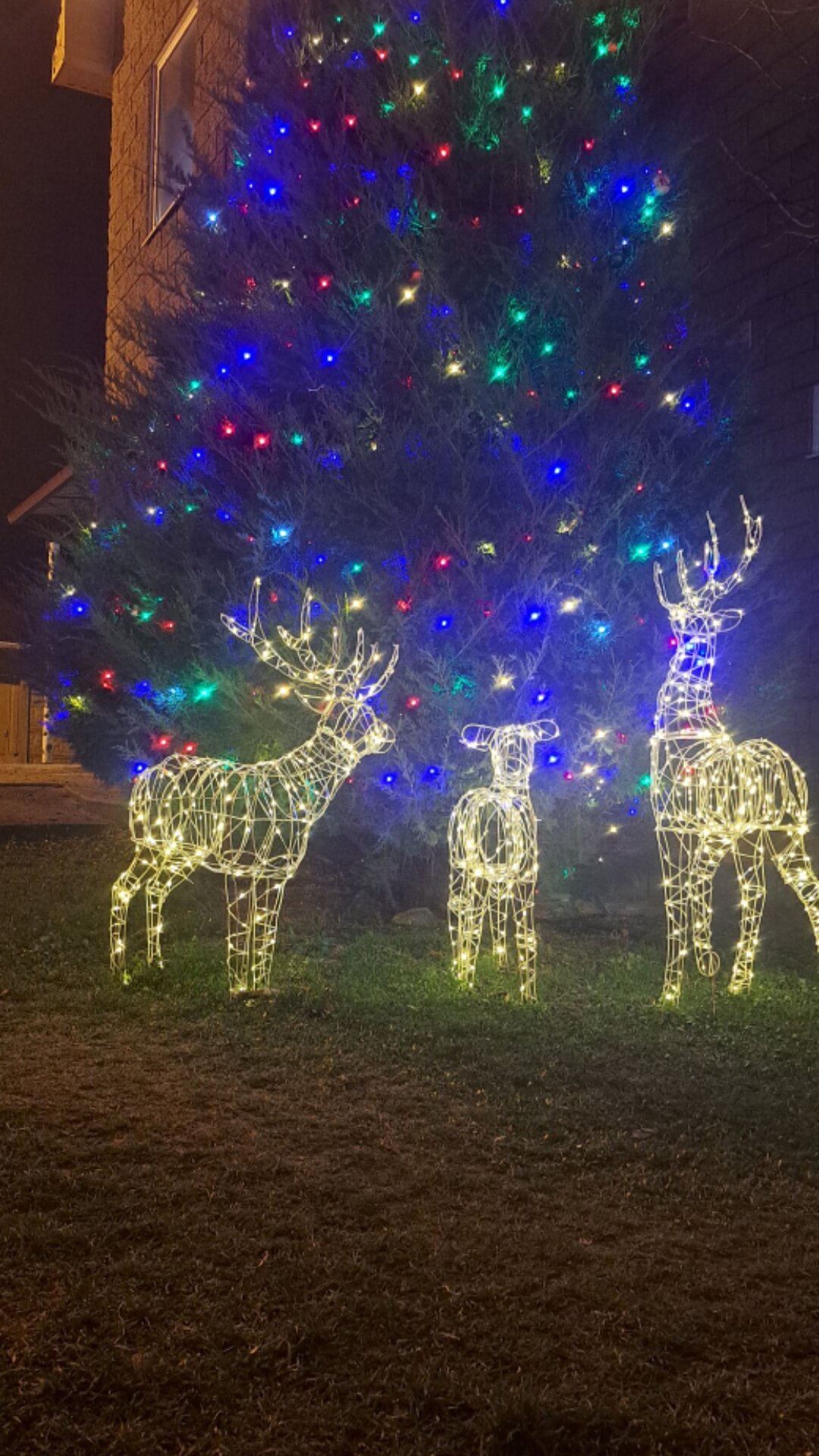 Фото У реки