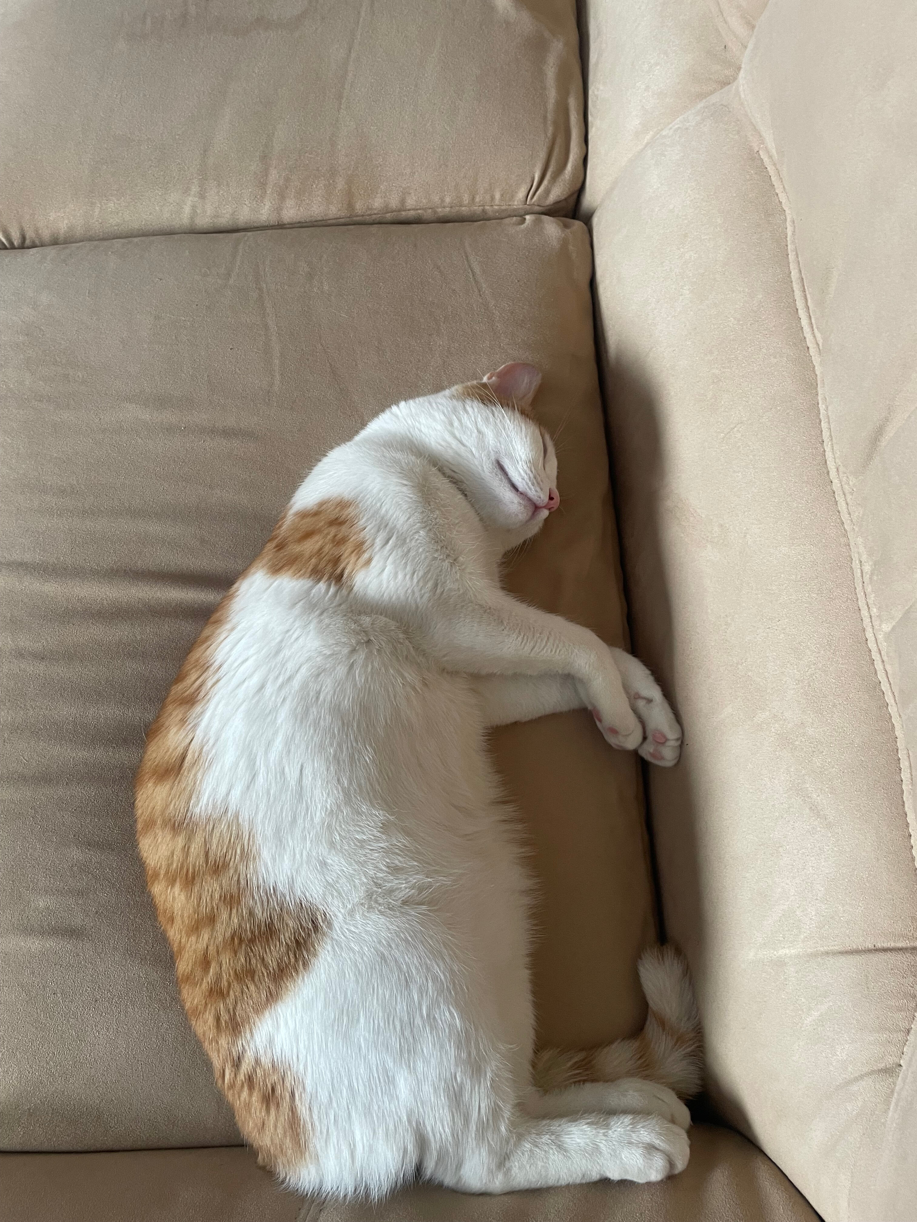 Фото Солнечный