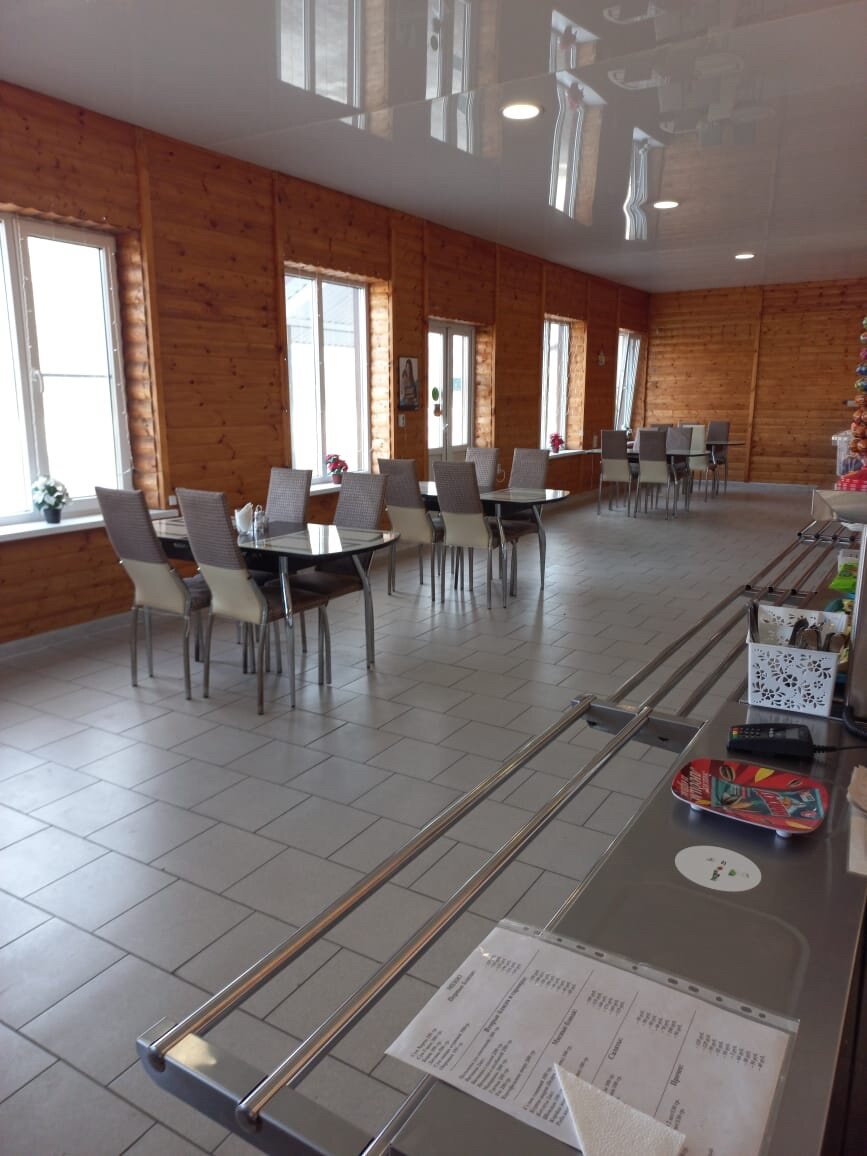 Фото Берёзка