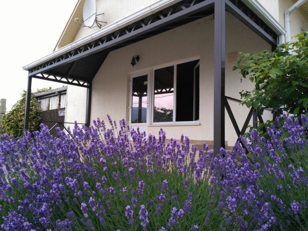 Фото Альпина