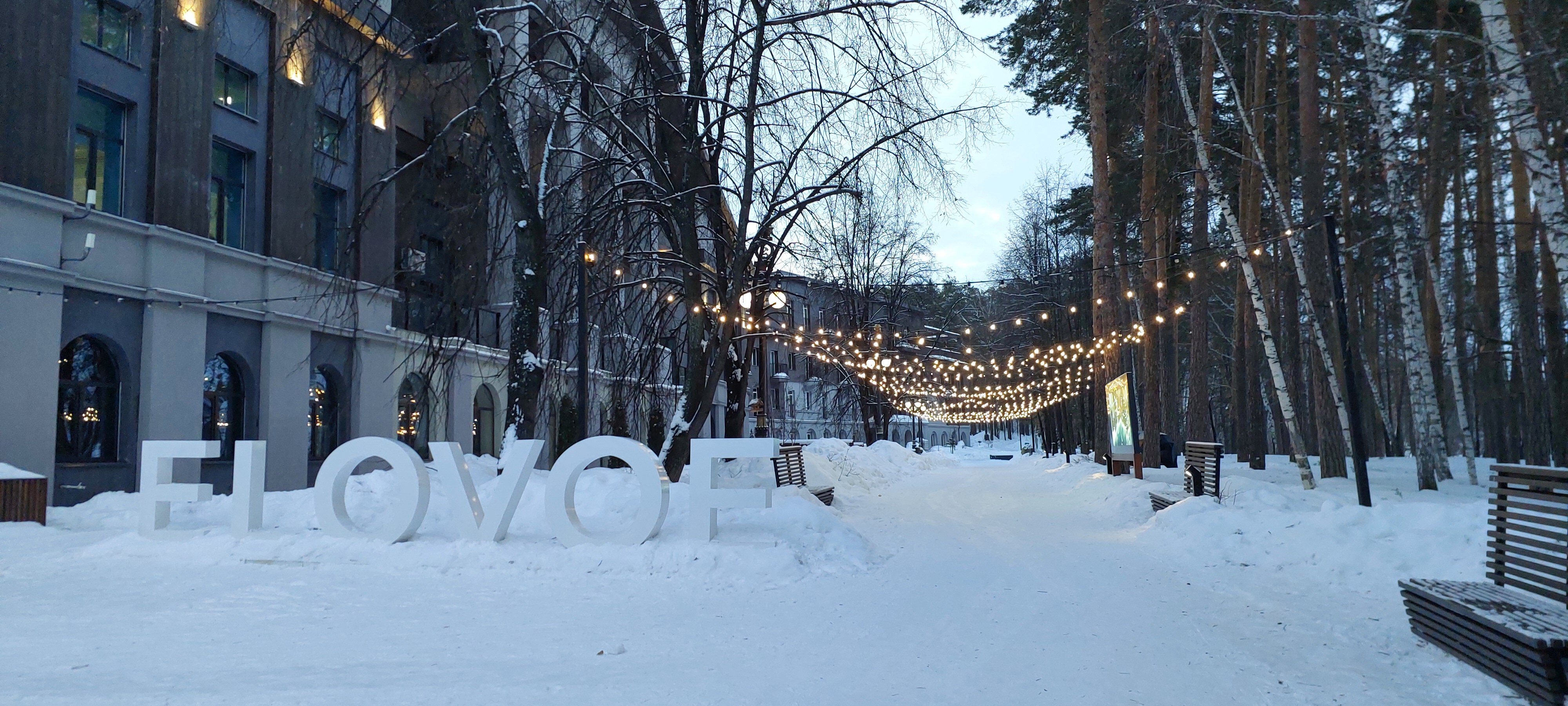 Фото 4 Апельсина