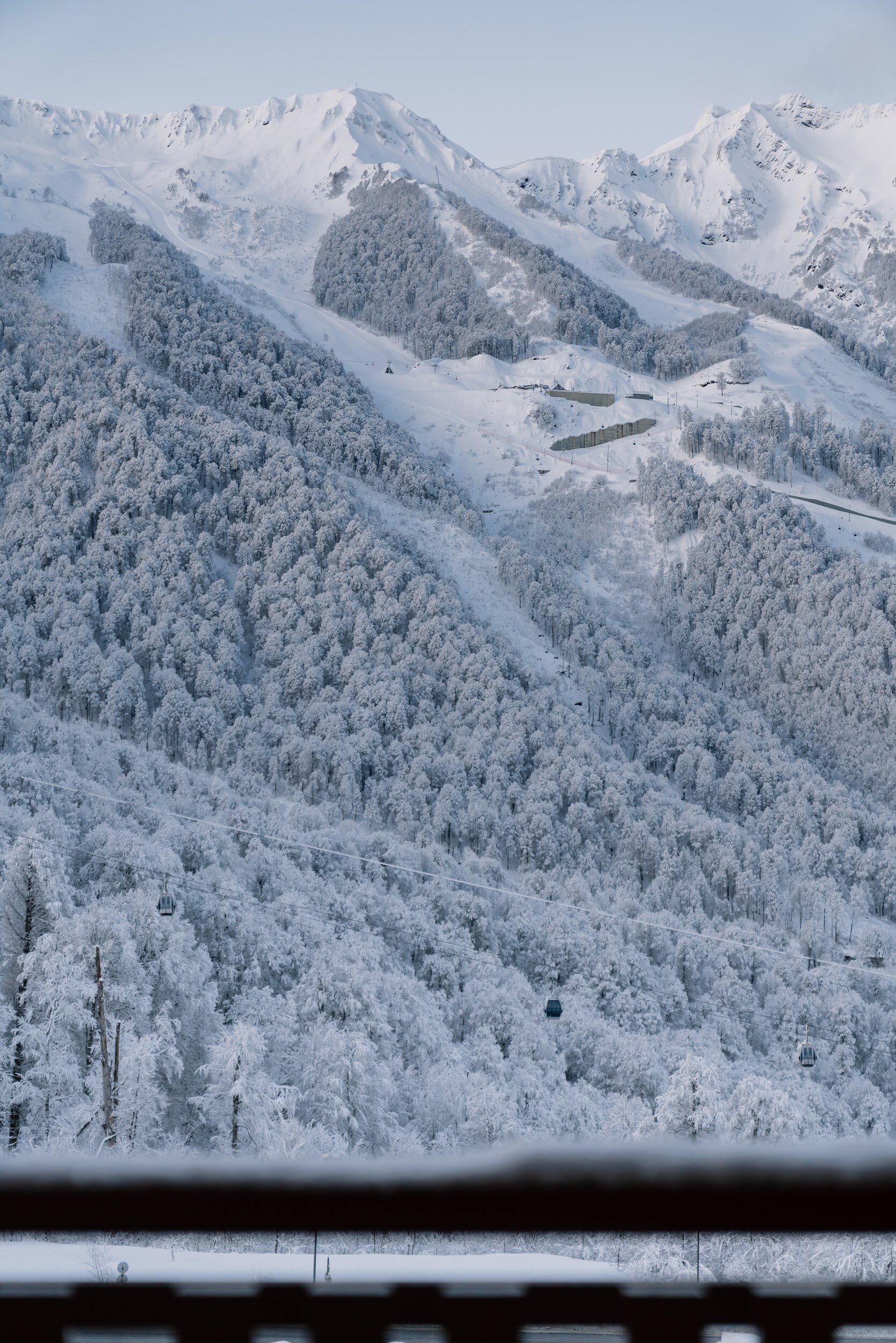 Фото Boogel Woogel Bar & Hotel