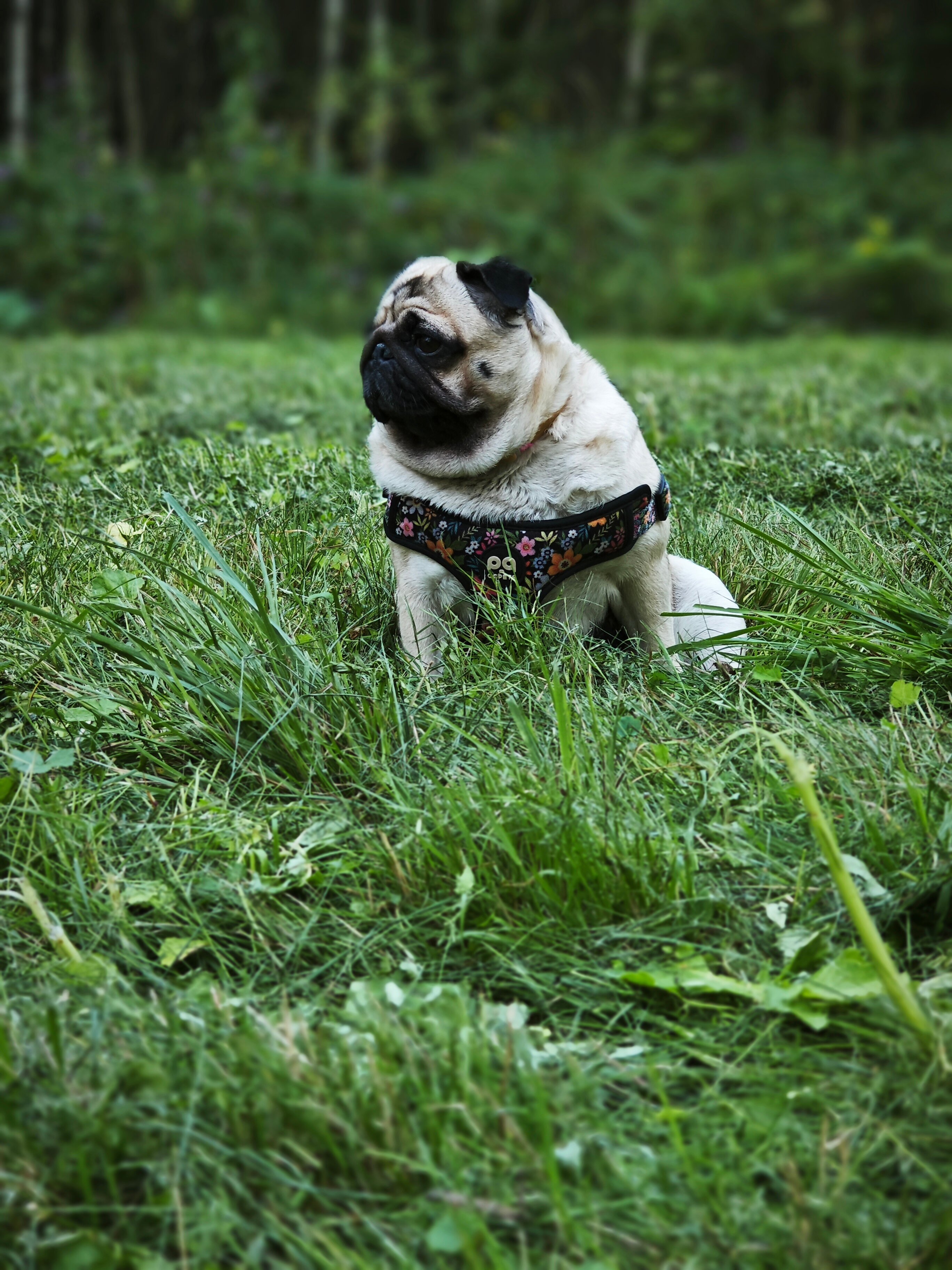 Фото Наше Место