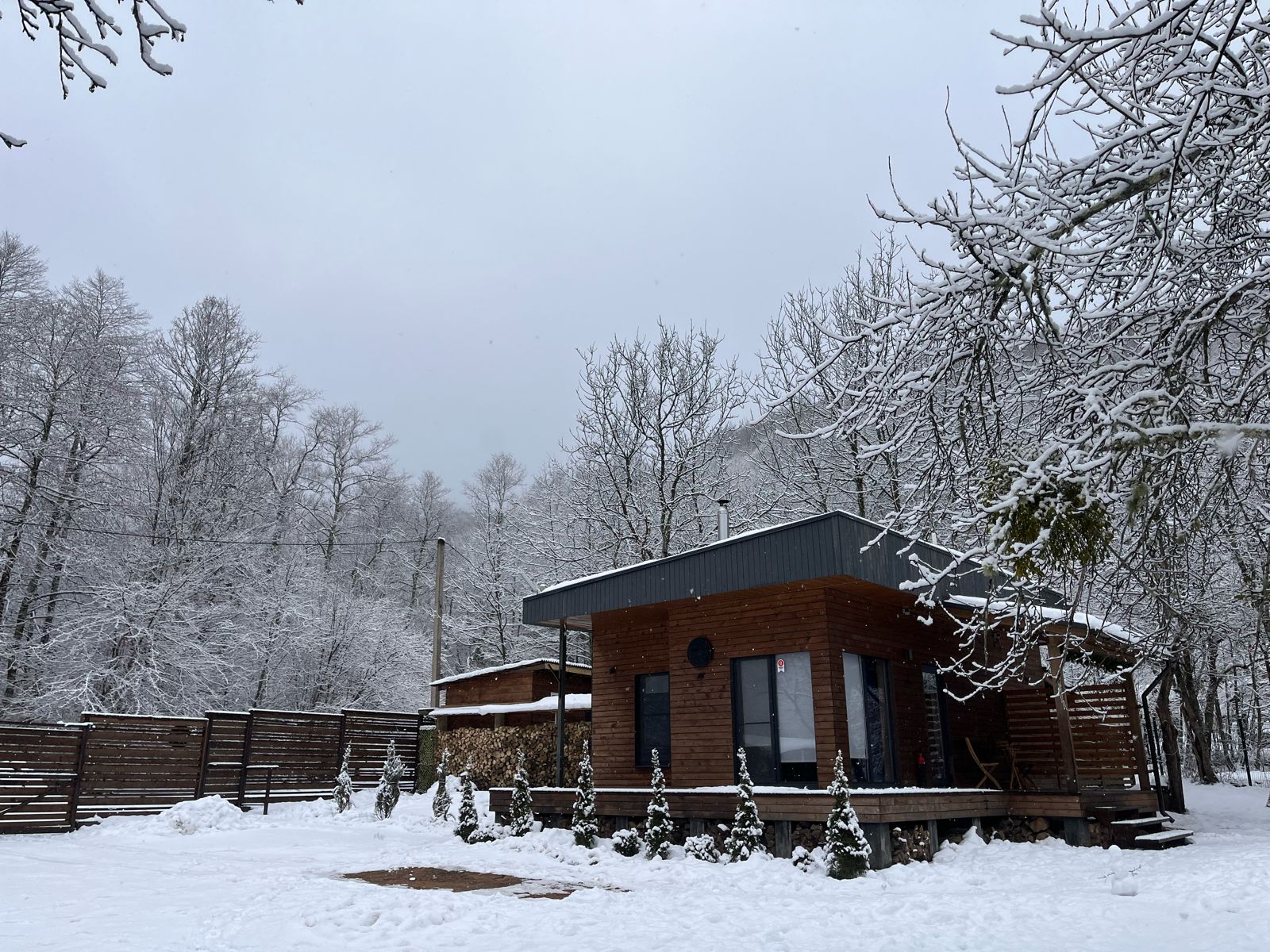 Фото Scandi-naki