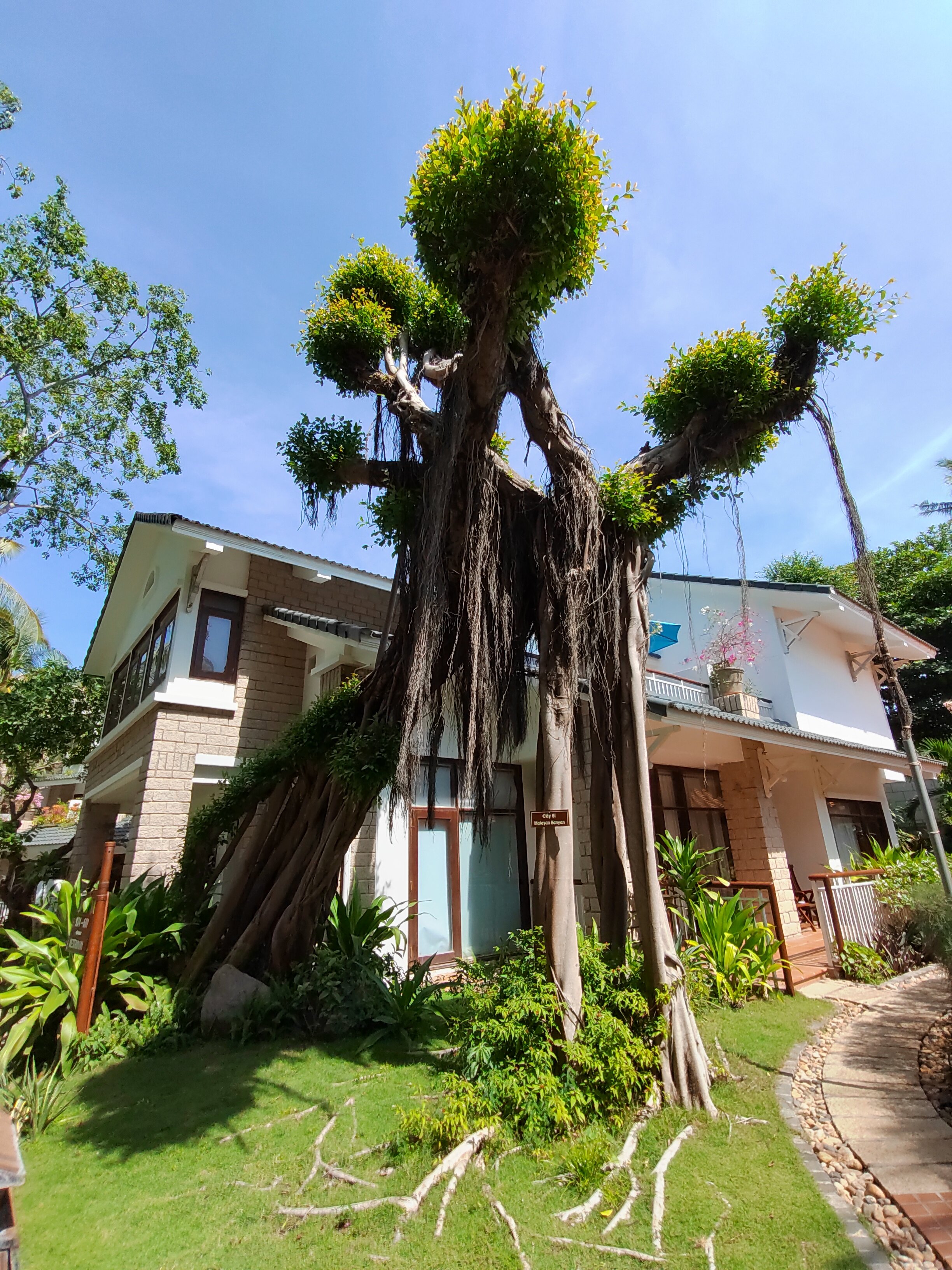 Фото Hoang Ngoc Beach Resort