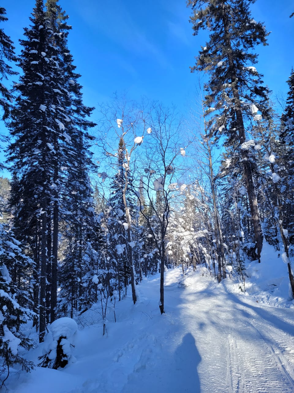 Фото Baikal Nega