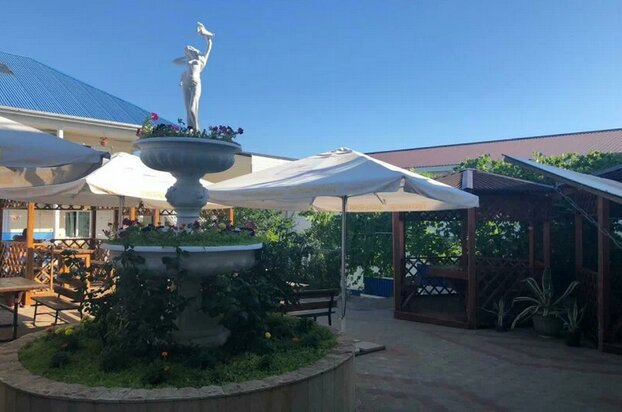 Фото Дельфин