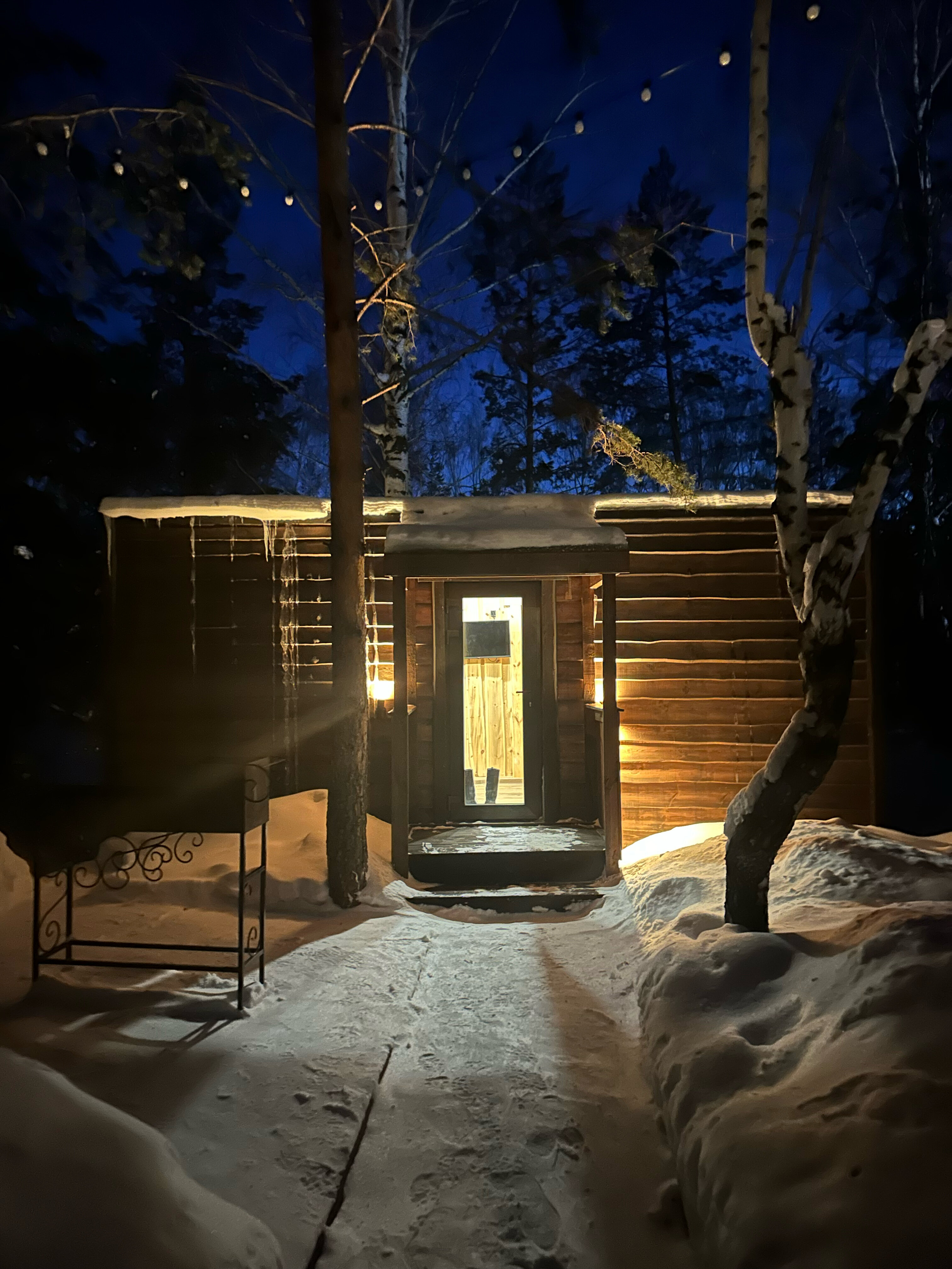 Фото Магия леса