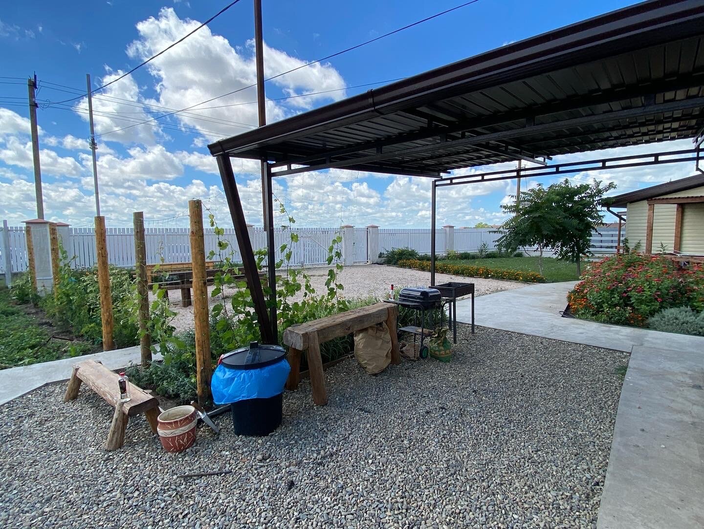 Фото В гостях у моря