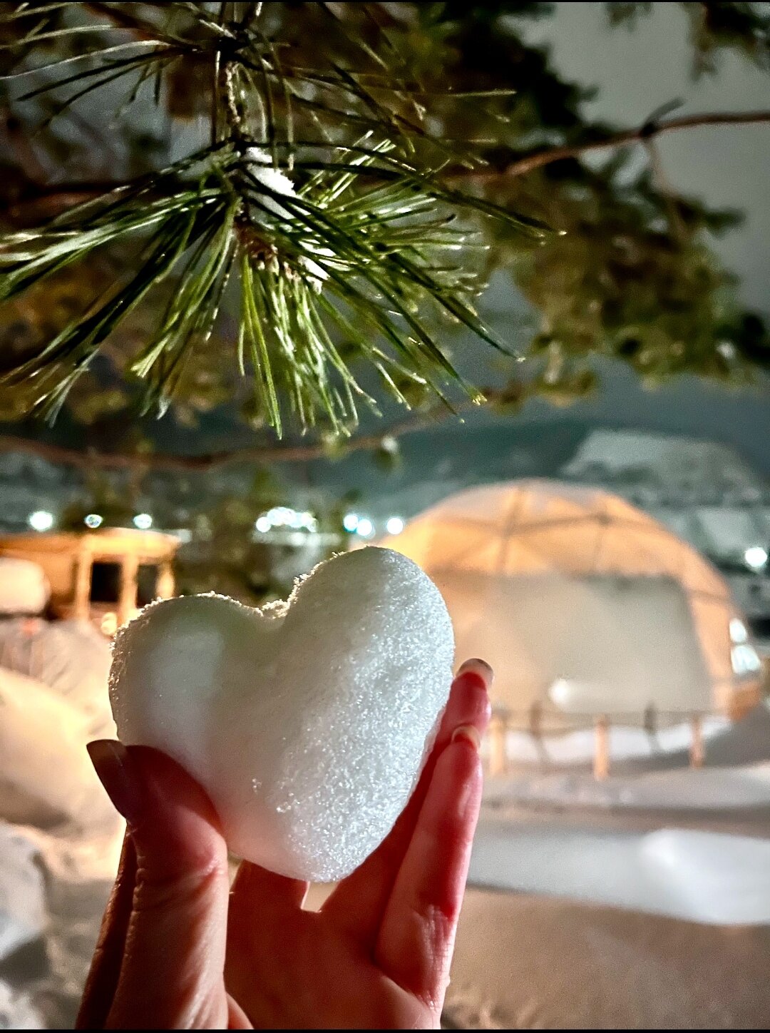 Фото Лисички-сестрички