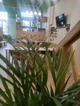 10 Friends (Amurskaya Street, 1Ак5), beauty salon