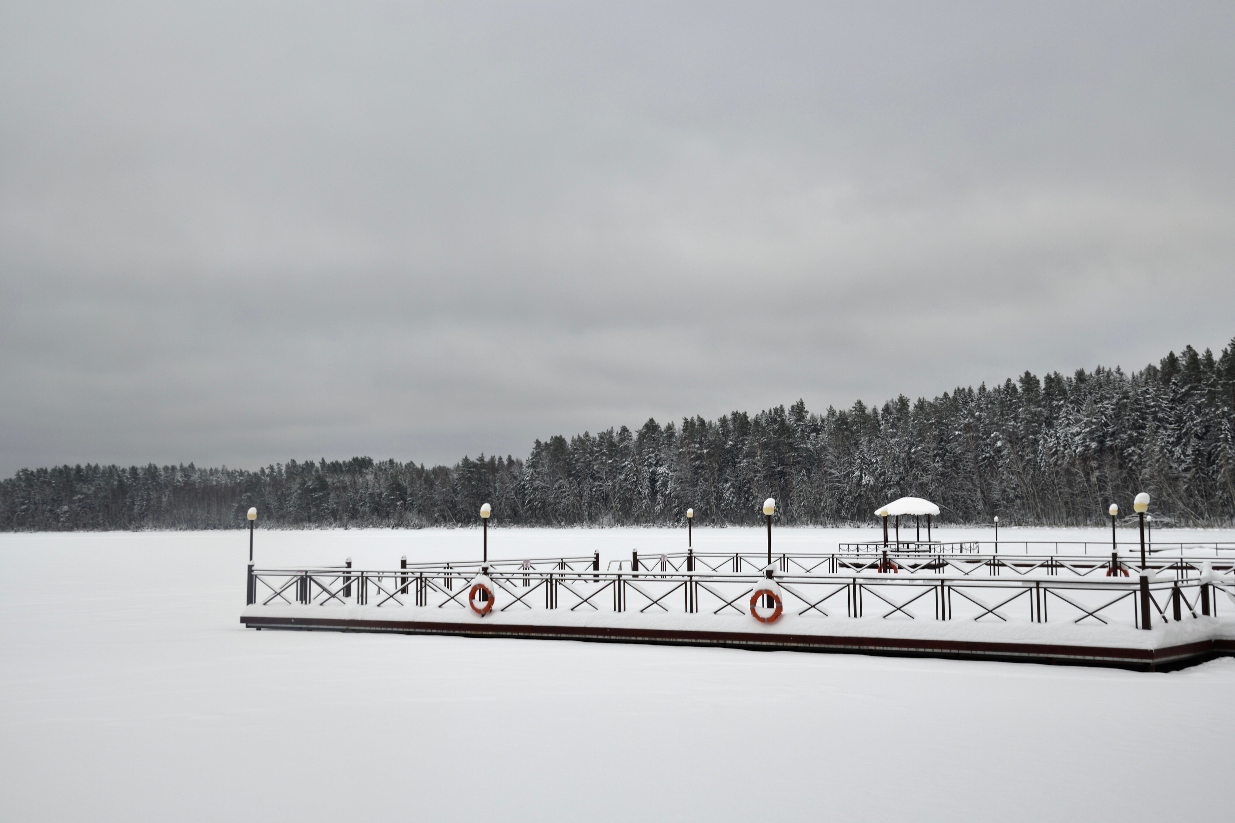 Фото Красный Бор