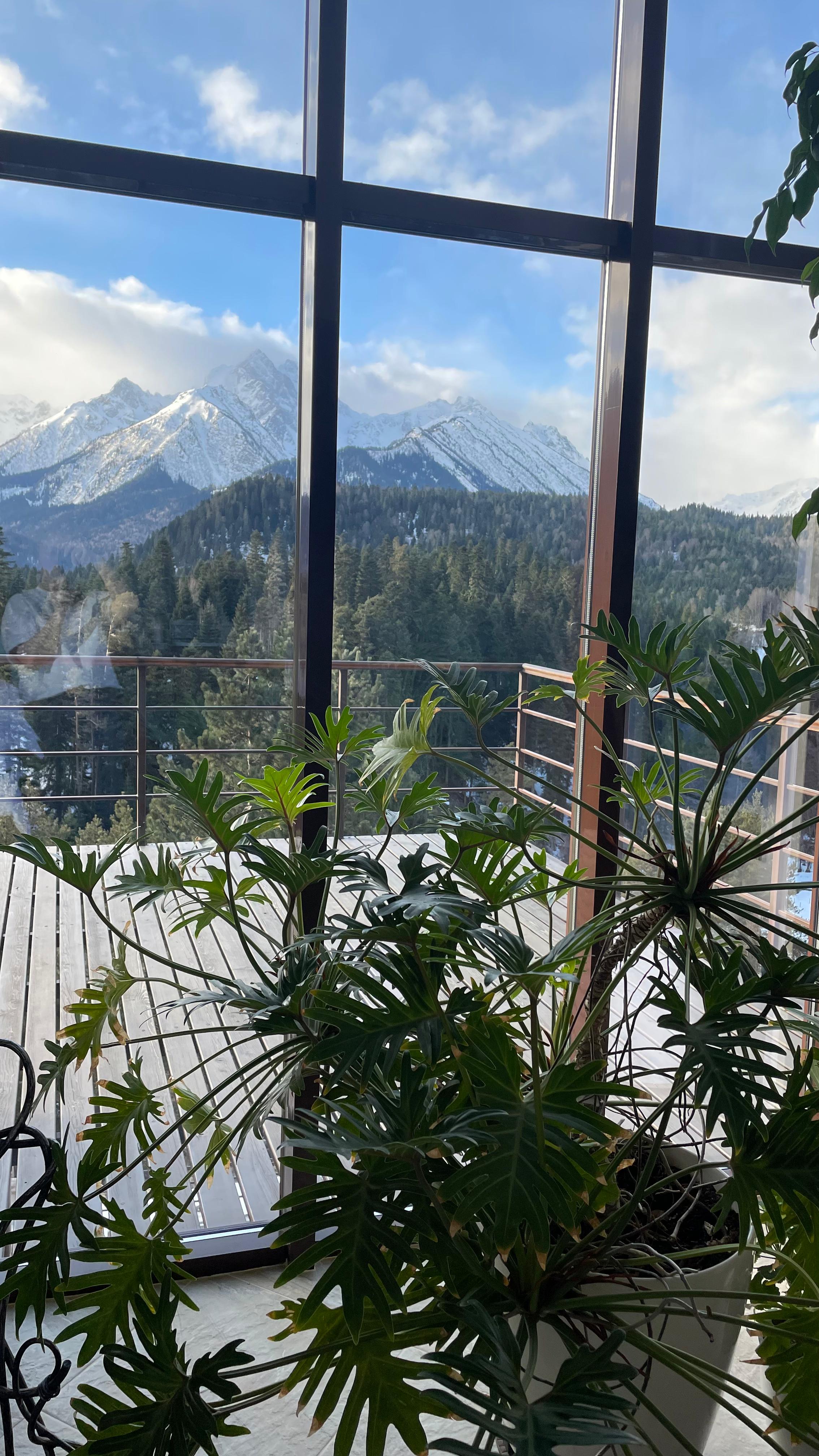 Фото Вудберг