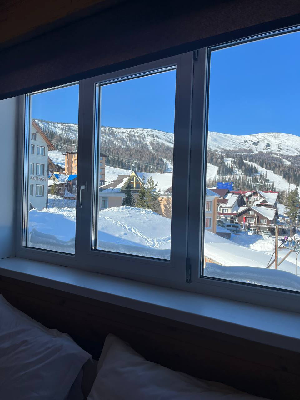 Фото Медведица