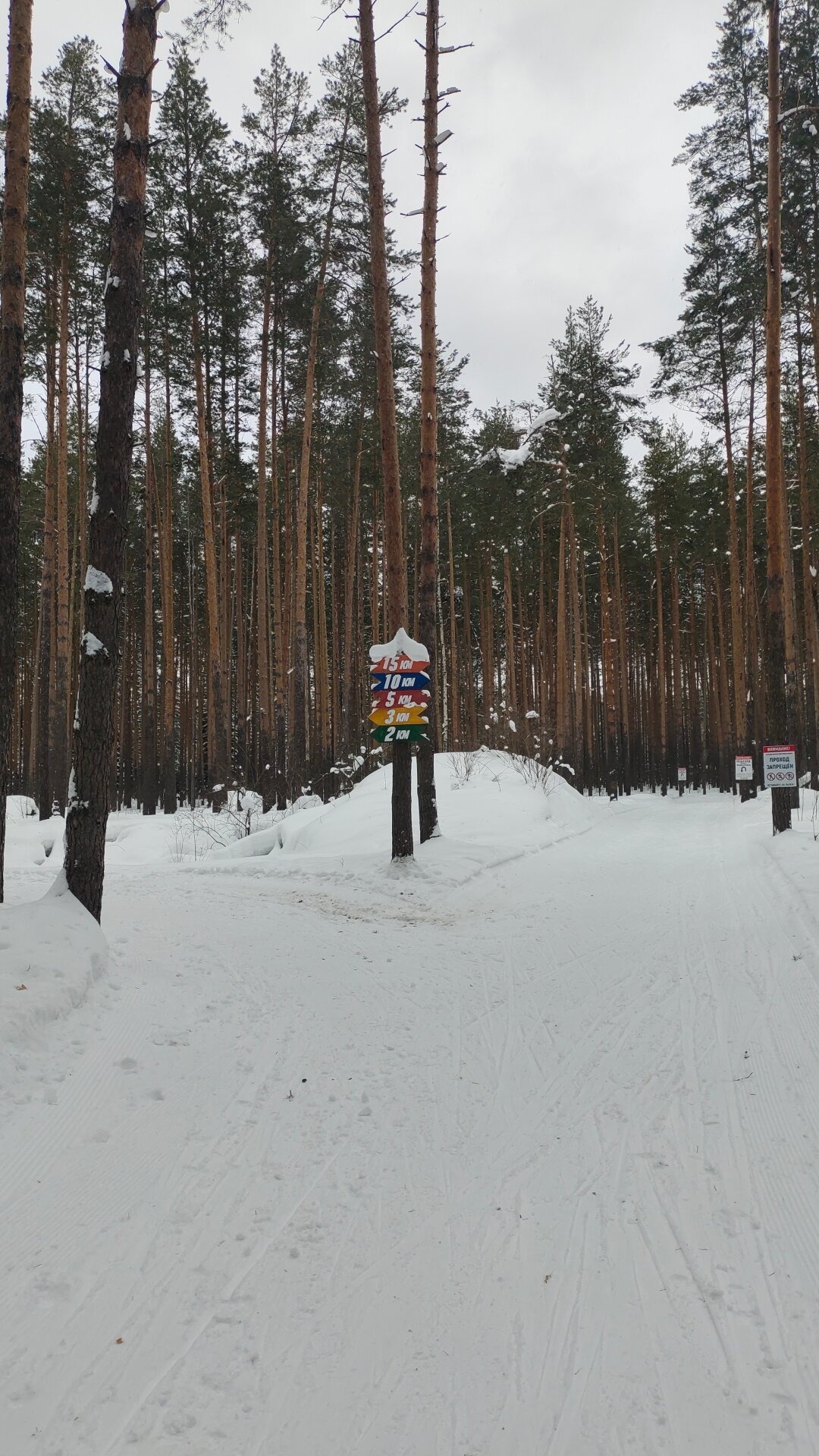 Фото Баринова роща