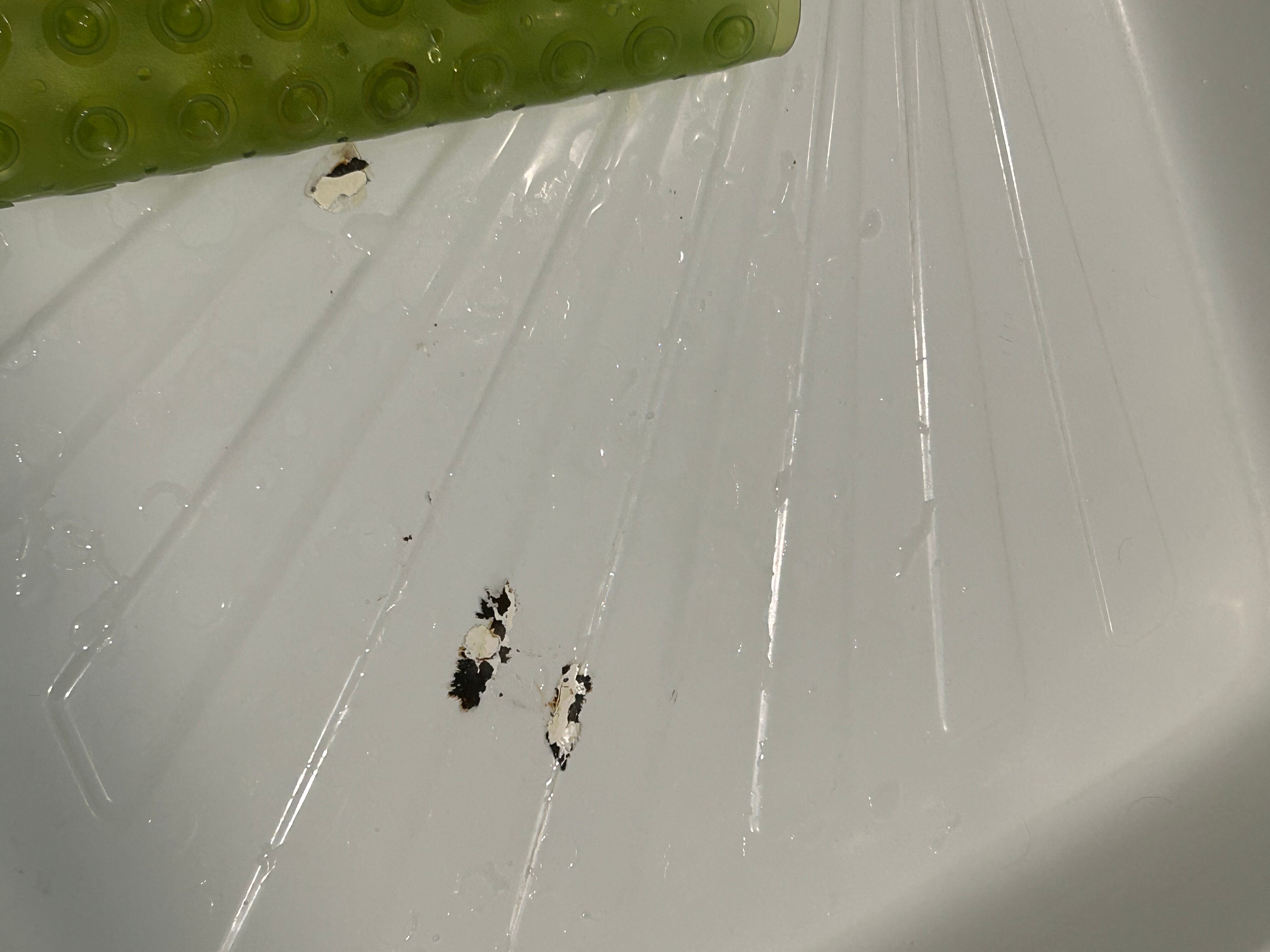 Фото Олимпия