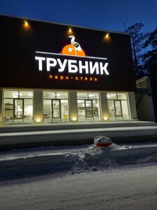 Трубник