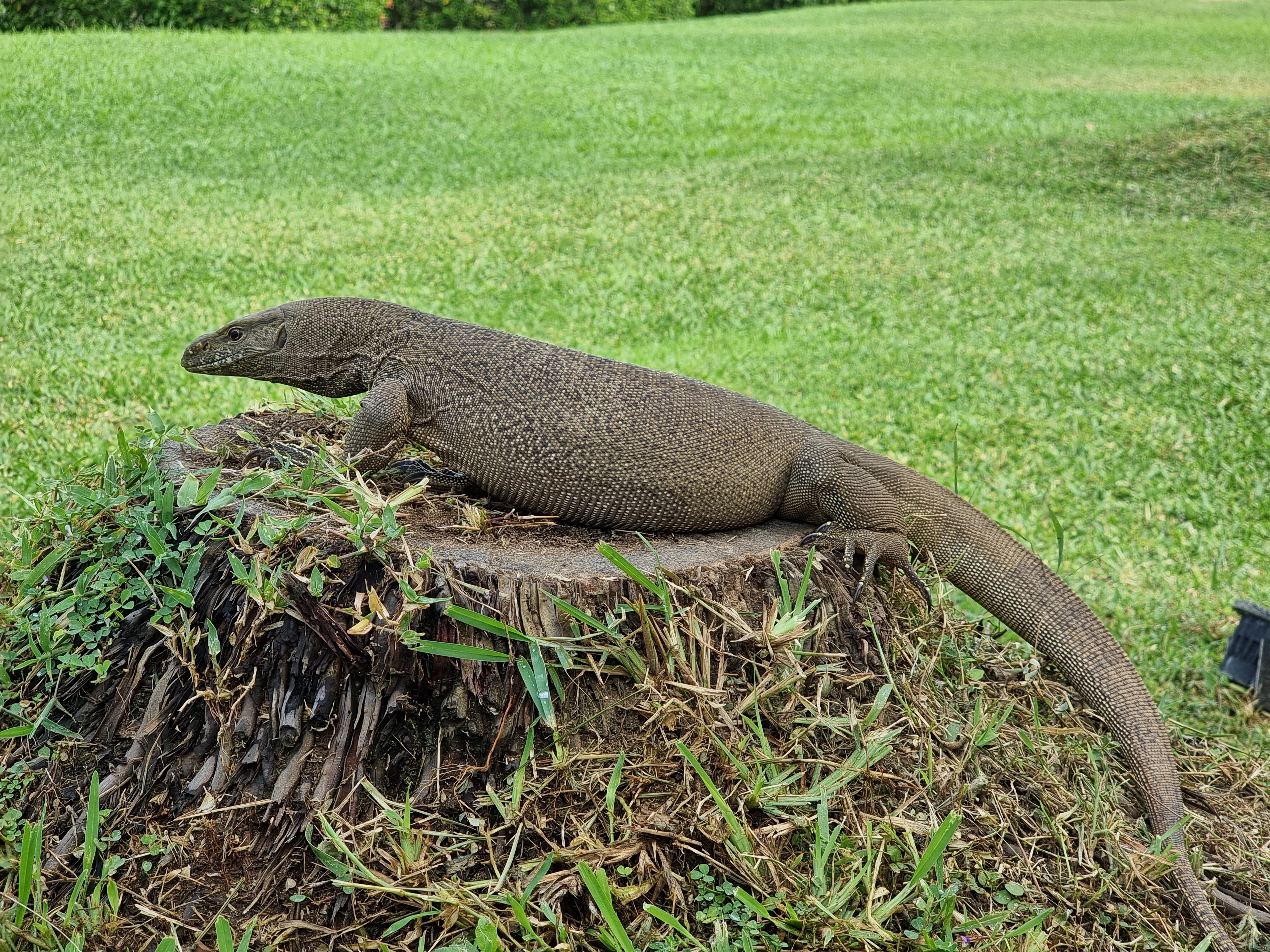 Фото Anantara Peace Haven Tangalle Resort