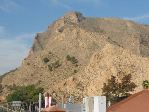 Фото Hostal El Palmeral