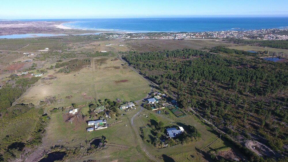Фото Groeneweide