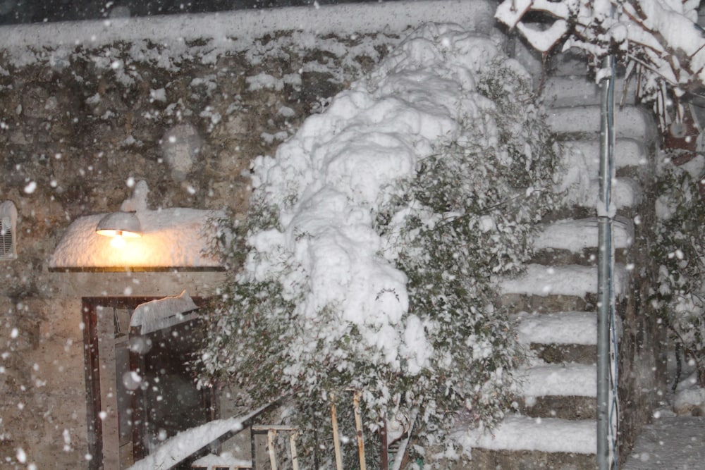 Фото Le due Palme - Il Paradiso di Adamo