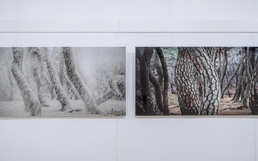 Фото Pohang Cheonnyeonbawi Pension