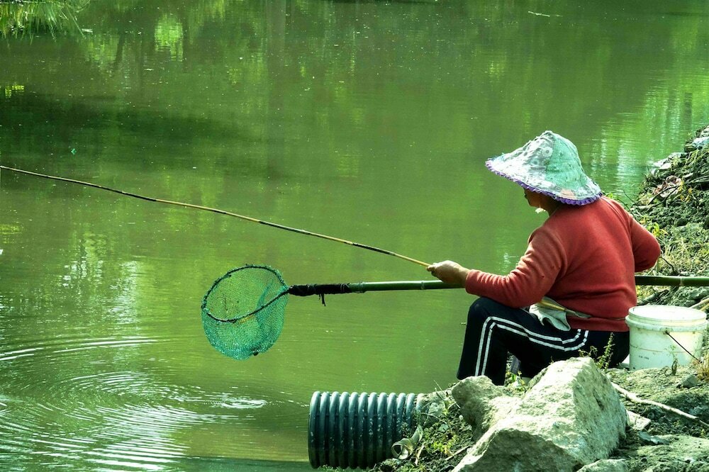 Фото Csdy Guesthouse