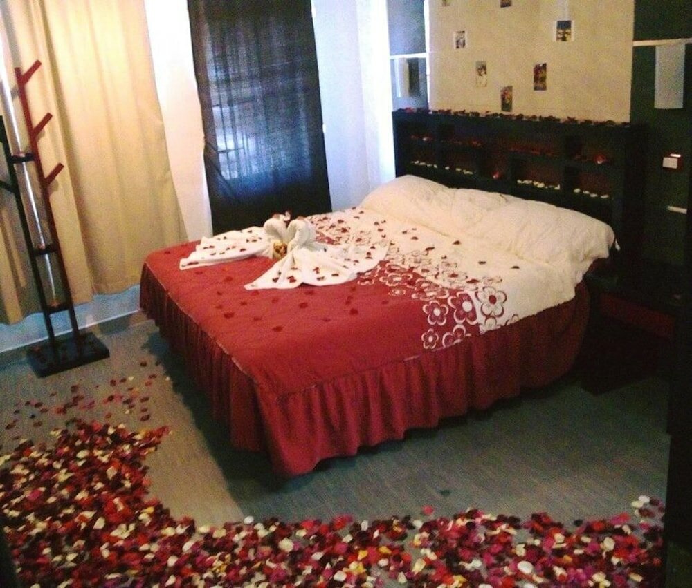 Фото Hotel Claudia