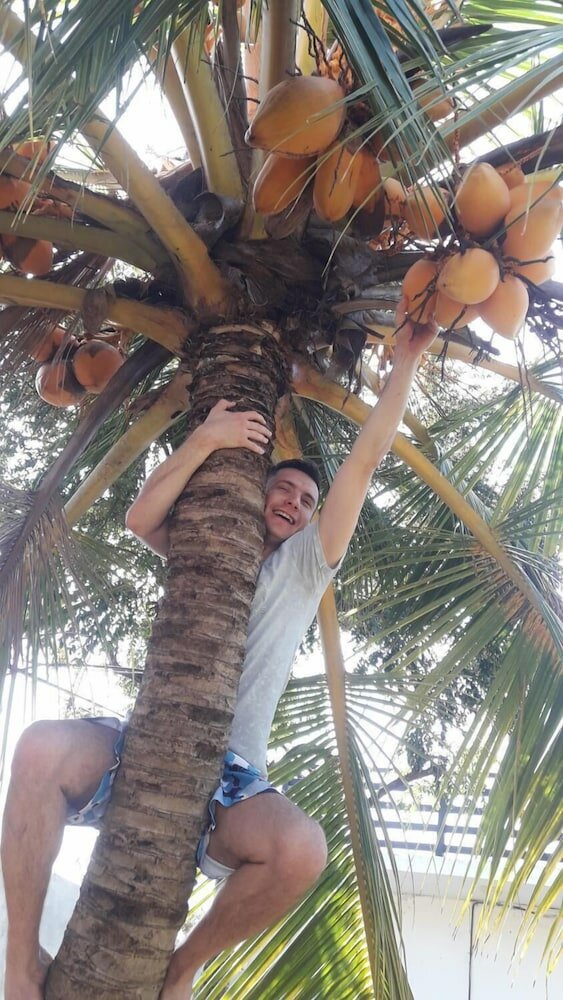 Фото The Max Villa