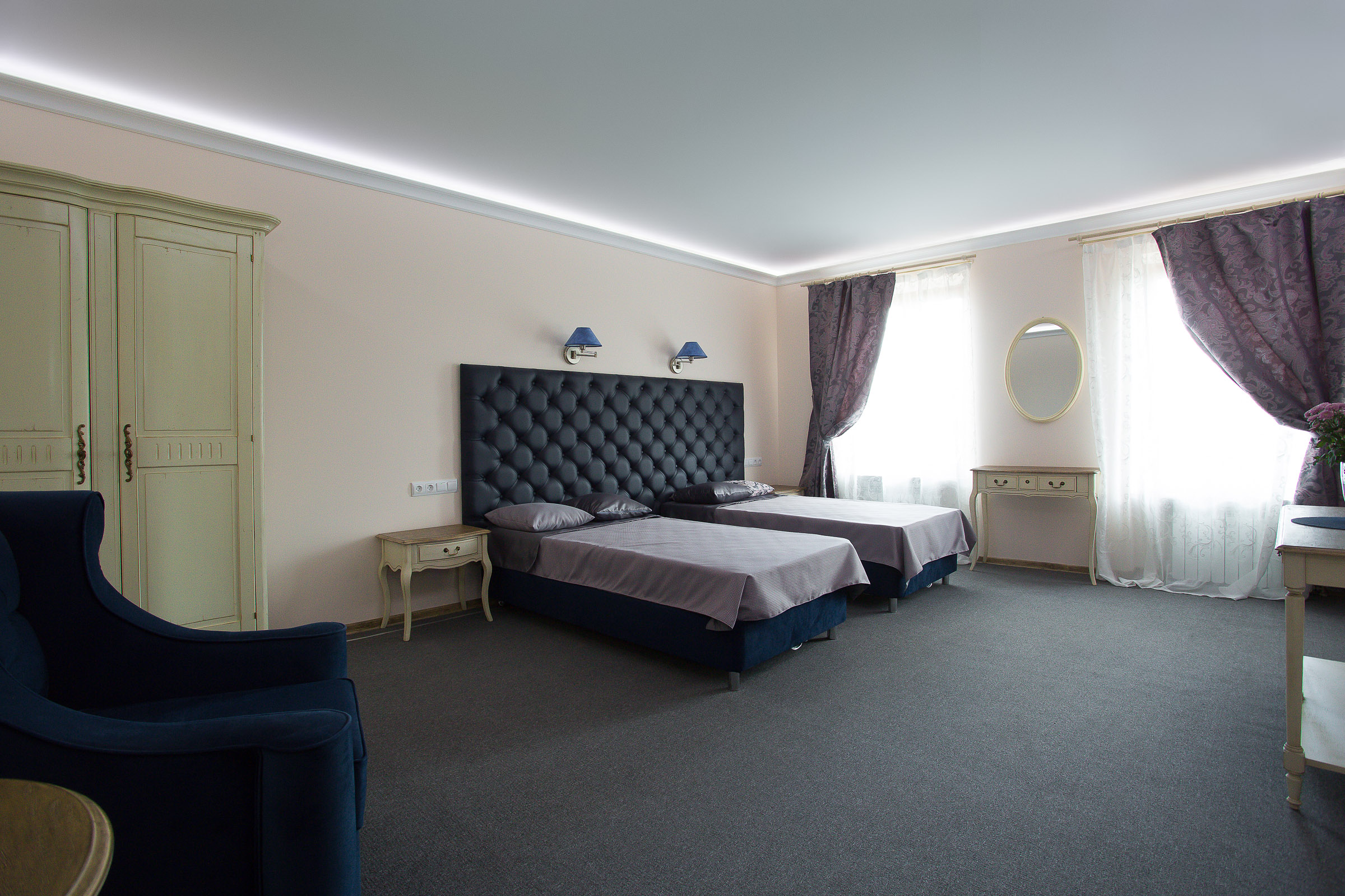 Фото Серый гусь