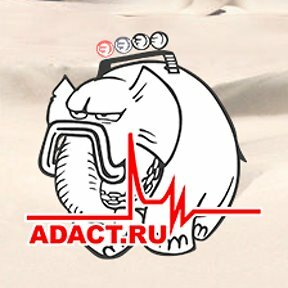 Филиал АРС Адакт