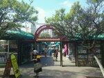 Zoomagazin (Chokolivskyi Boulevard, 5/7), pet shop