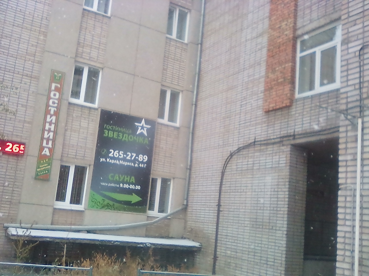 Фото Звездочка