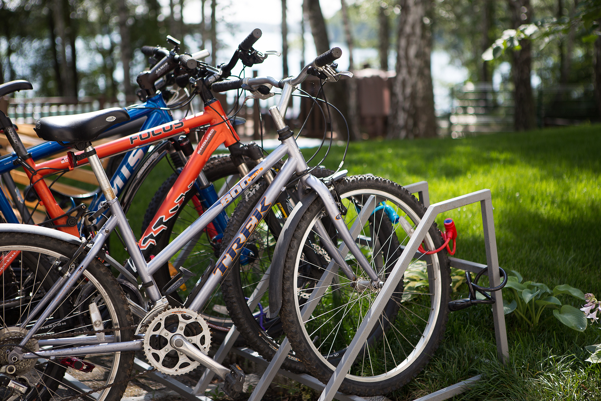 Фото Парк-отель Еловое