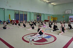 Mezhdunarodnaya akademiya sporta Iriny Viner (Leninsky Avenue, 132), sports club