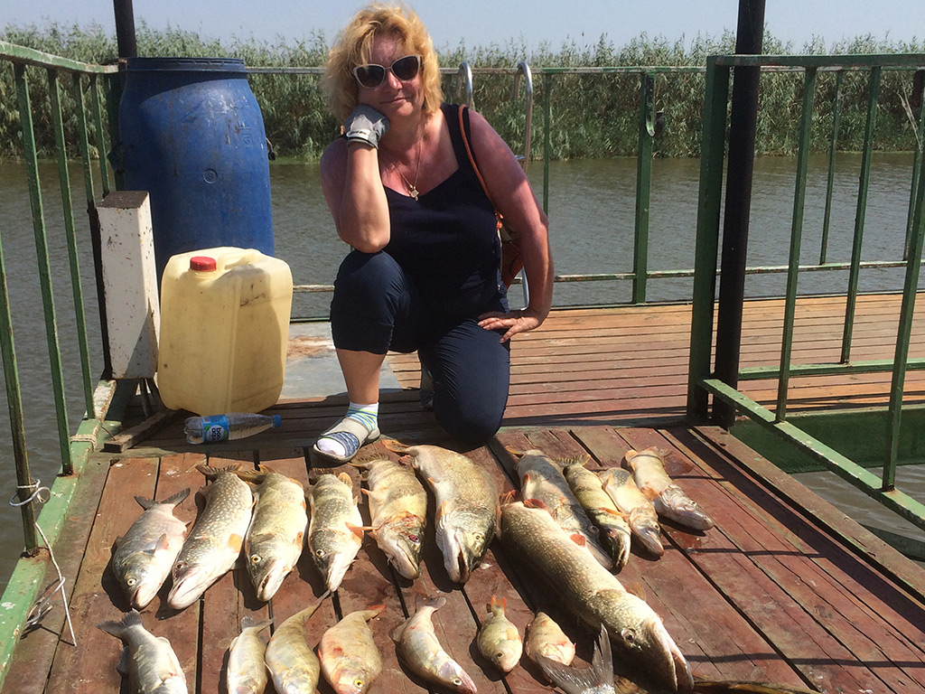 Фото Фортуна