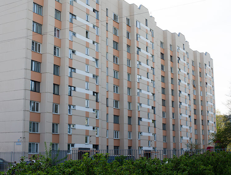 Замшина санкт петербург