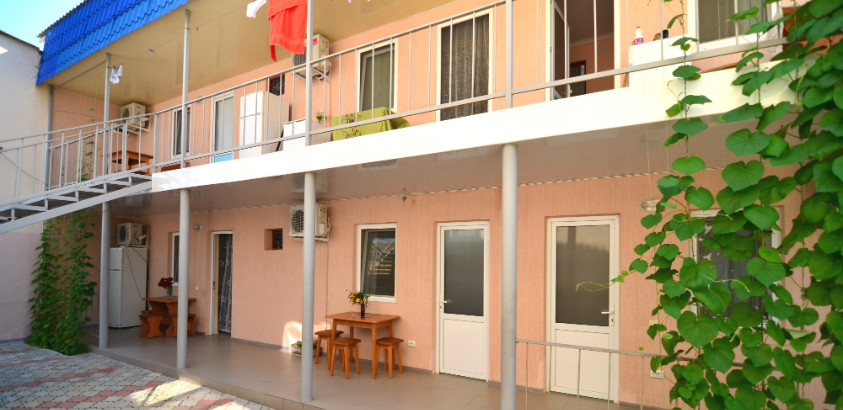 Фото Ласточка