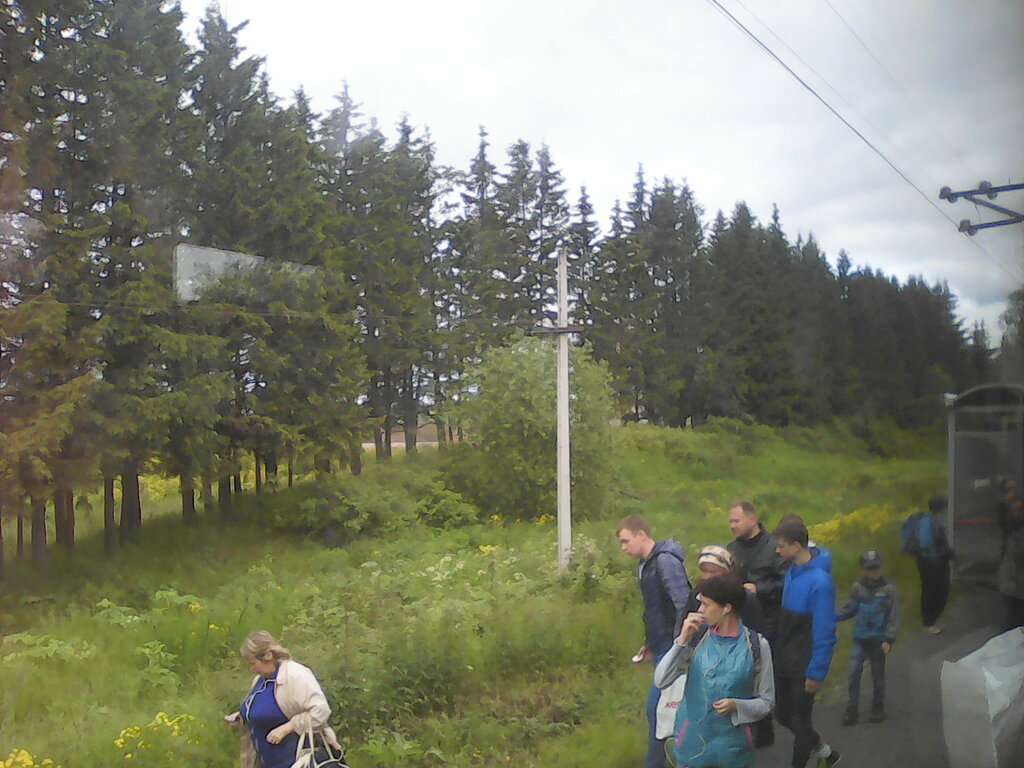 Янычи карта пермский край