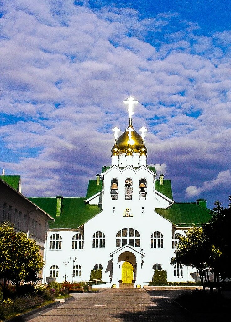 التعليم الديني Kolomna Orthodox Theological Seminary ، ، صورة