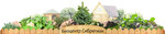 Biotsentr SibRegion (Lineynaya ulitsa, 5/3), construcción de casas de campo y cabañas