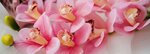 Natural Touch Flowers (Seleznyovskaya Street, 11Ас2), artificial plants and flowers