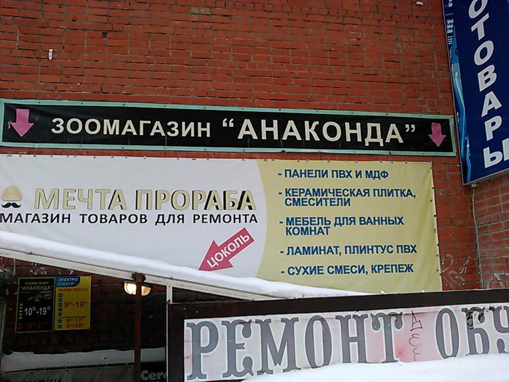 Магазин Анаконда Нижний Новгород Каталог Товаров