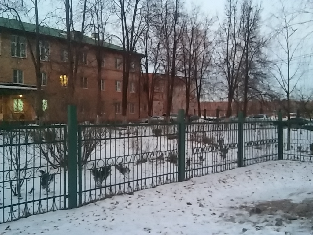 Фото Адонис