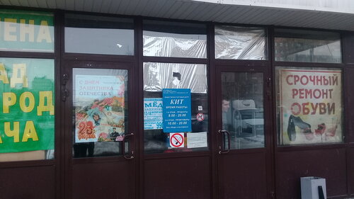 Куннилингус бағаналы қожайын