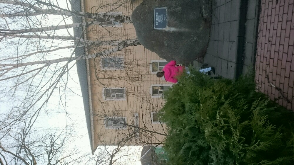 Фото Центральная