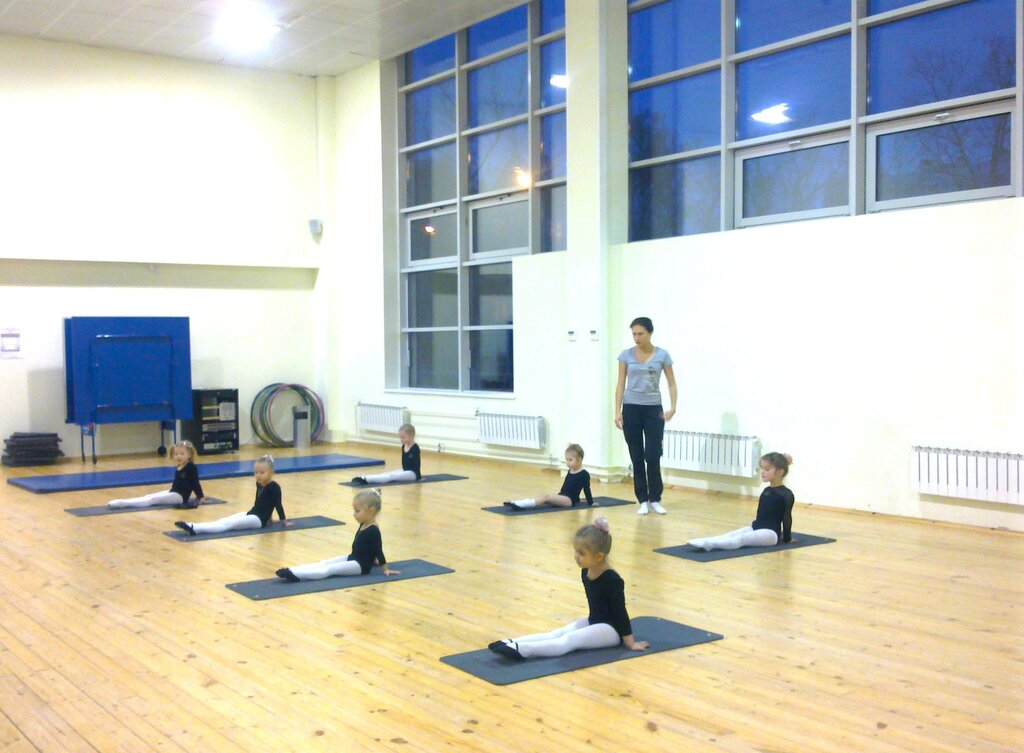 Sports club Sportivny klub po khudozhestvennoy gimnastike Vesennyaya lastochka, Moscow, photo