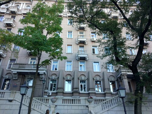 Optimum  фото 2